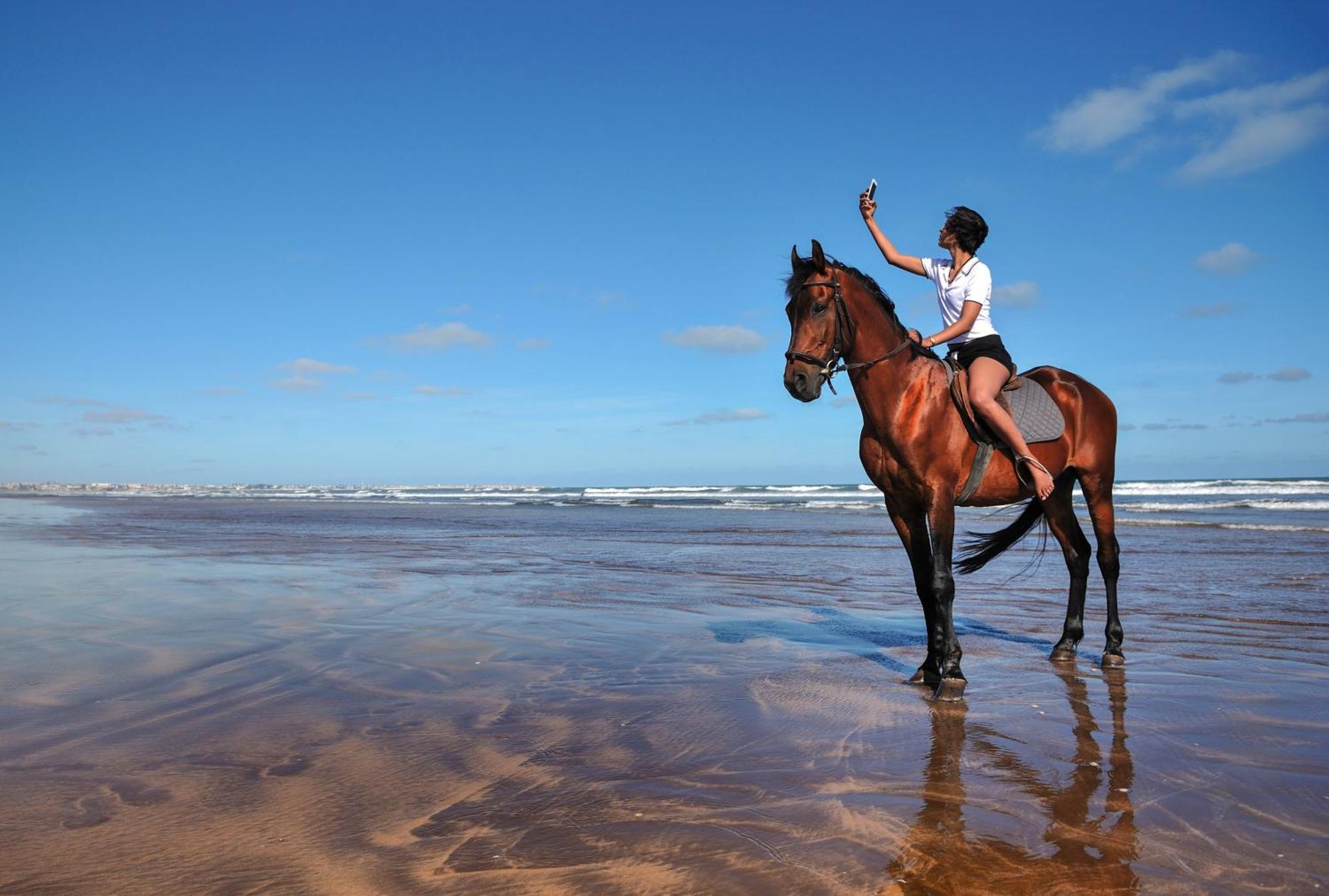 Pullman Mazagan Royal Golf & Spa Džadída Exteriér fotografie A horse on the beach